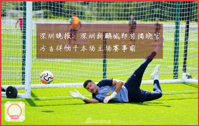 深圳晚报：深圳新鹏城即将揭晓官方吉祥物于本场主场赛事前