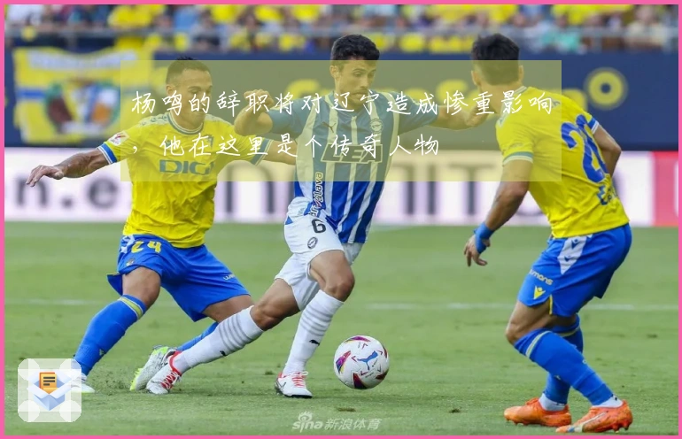 杨鸣的辞职将对辽宁造成惨重影响，他在这里是个传奇人物