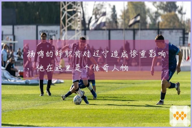 杨鸣的辞职将对辽宁造成惨重影响，他在这里是个传奇人物