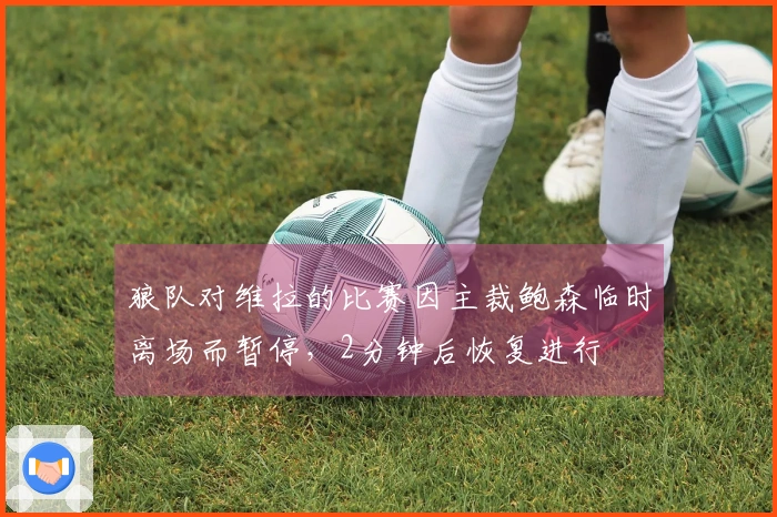 狼队对维拉的比赛因主裁鲍森临时离场而暂停，2分钟后恢复进行